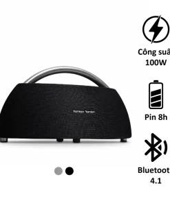 Harman Kardon Go Play